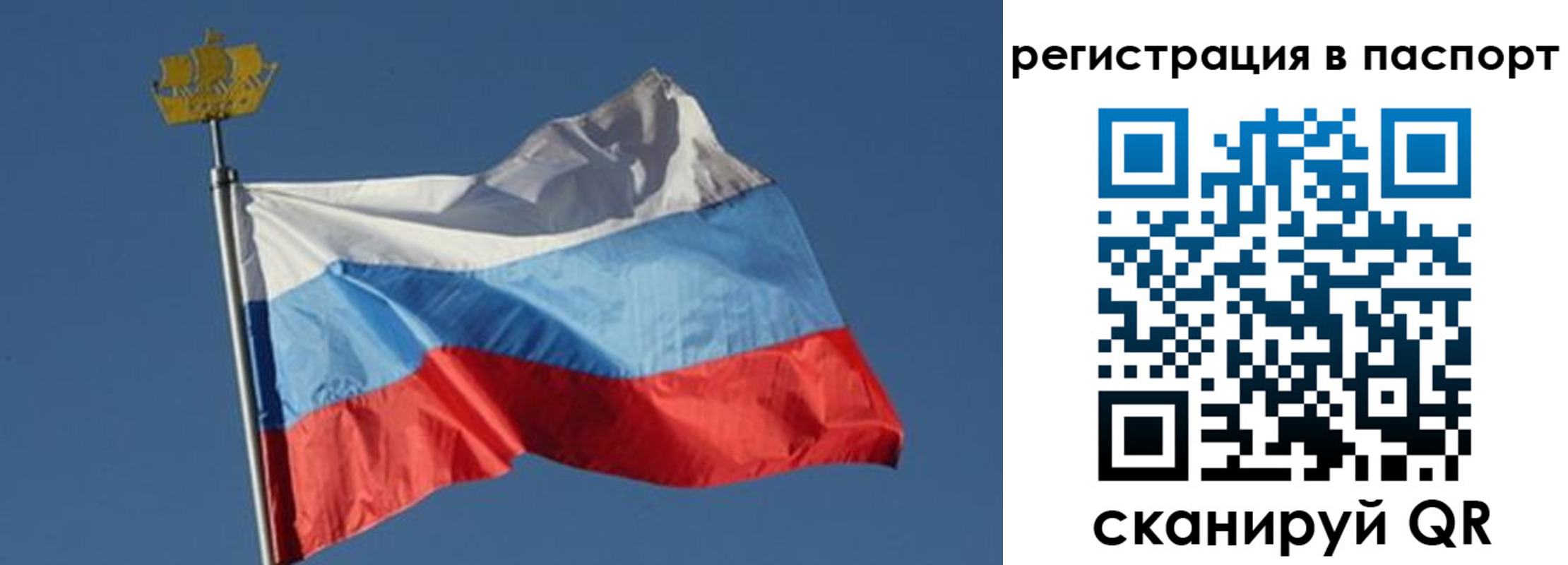 временная регистрация законно в Бийске